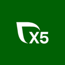 ИКС 5